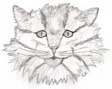 Alesha_poem_skittell