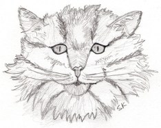 Alesha_poem_skittell